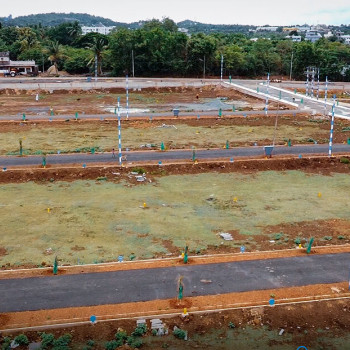 Shraddha Orchard Gamanagatti Image