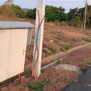 SR Gardenia Images SR Gardenia.jpg.jpg