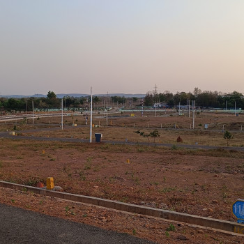 SR Gardenia Images SR Gardenia.jpg