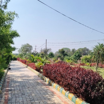 Shristi Serene Gamangathi Images WhatsApp Image 2025-11-20 at 9.50.10 PM.jpeg