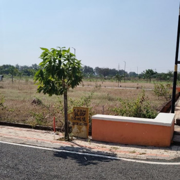 Shristi Serene Gamangathi Images WhatsApp Image 2025-11-20 at 9.50.42 PM.jpeg